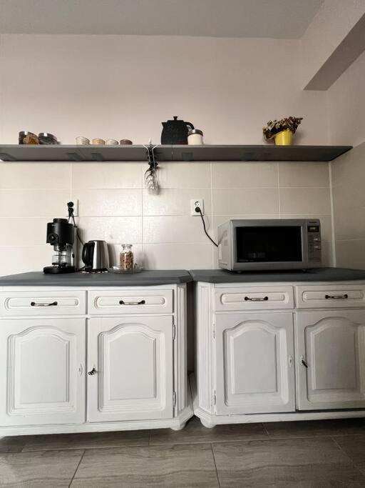 Apartament Spatios In Oradea Dış mekan fotoğraf